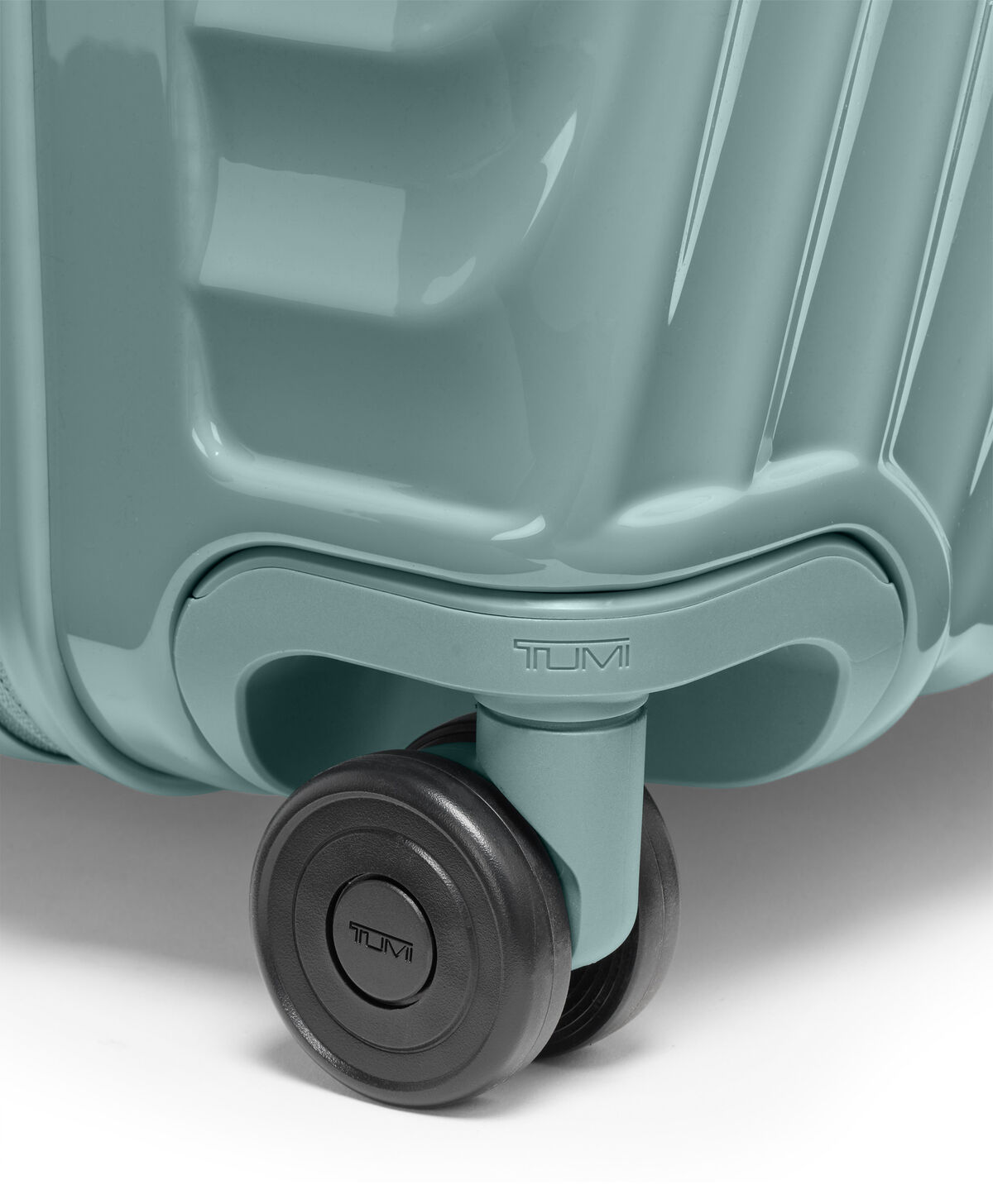 19 Degree Large Trunk